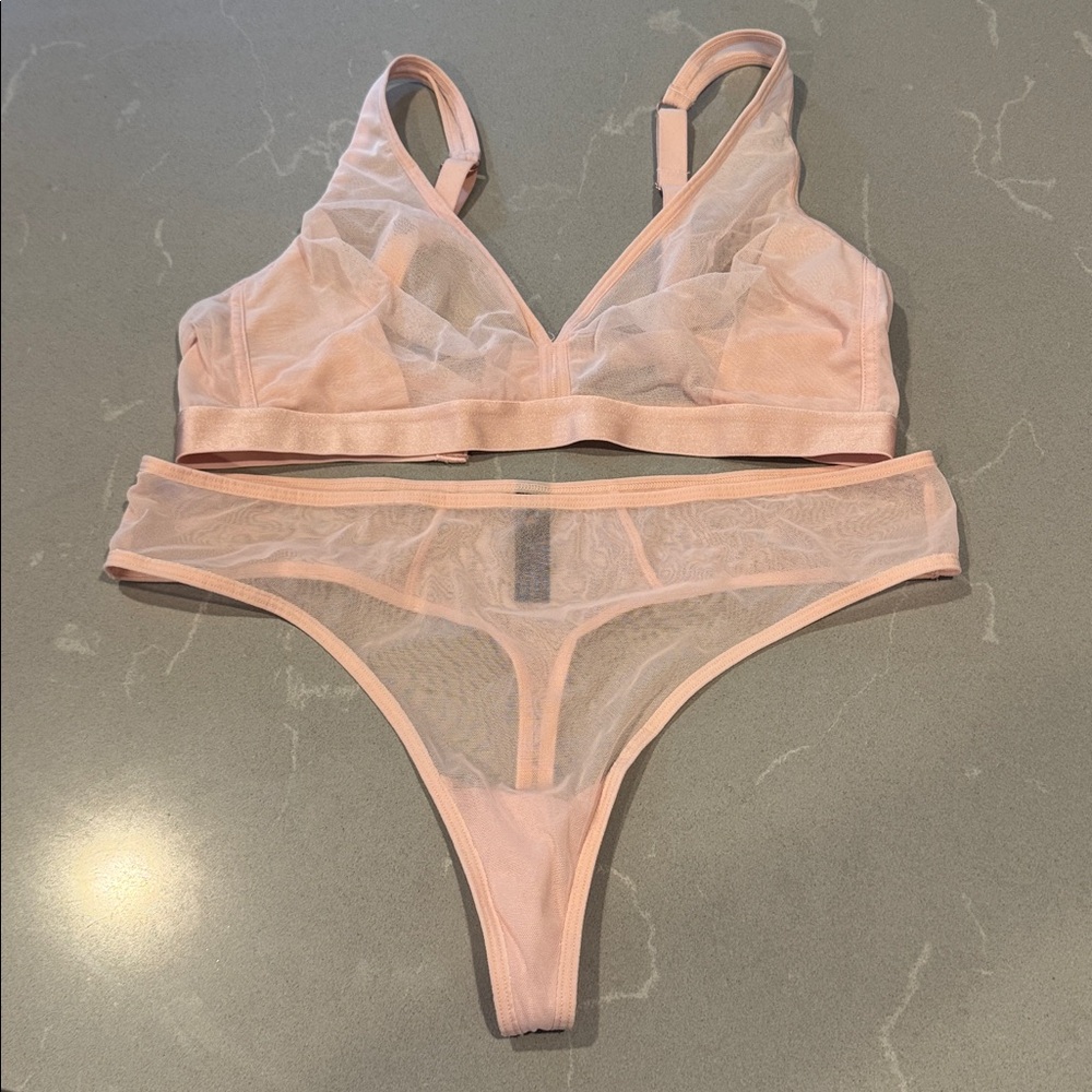 Sheer Mesh Bra and Panty Set NWOT L